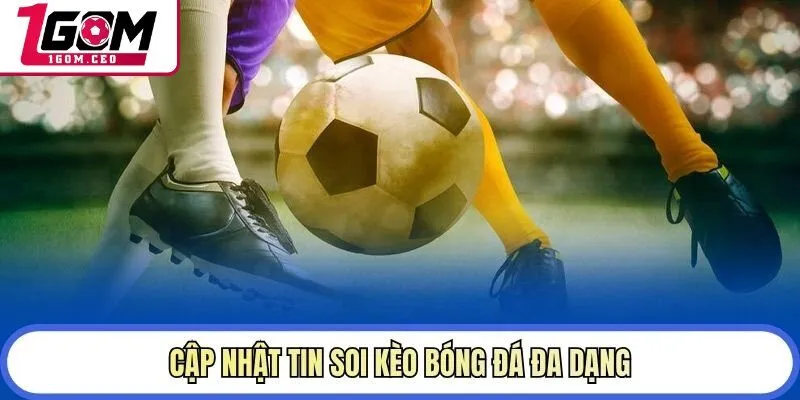 Cập nhật tin soi kèo bóng đá đa dạng