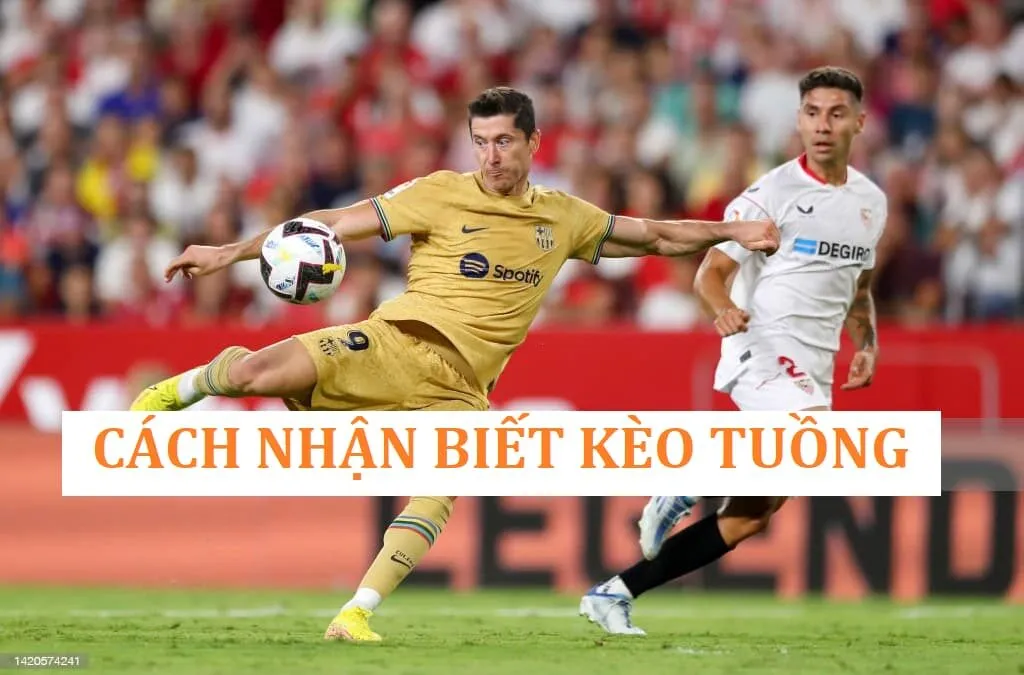 Hướng dẫn nhận biết về kèo bóng tuồng