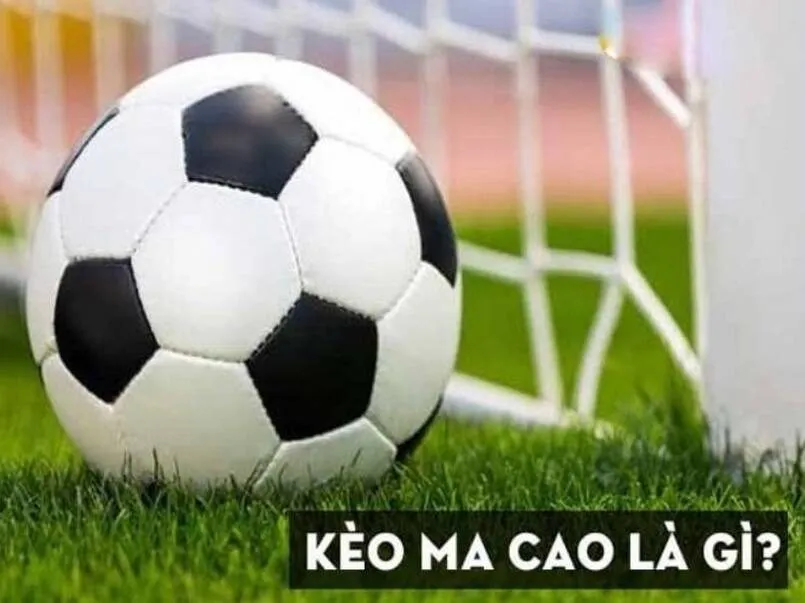 Thông tin về tỷ lệ kèo Macau cân bằng