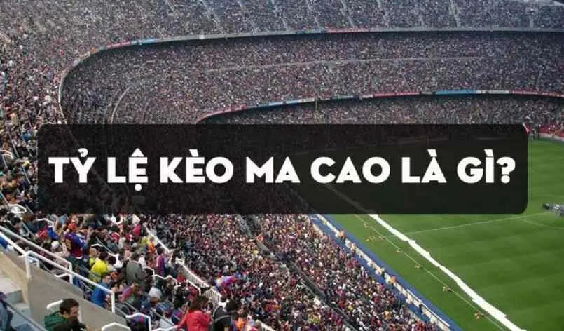 Kinh nghiệm cơ bản chơi kèo Macau