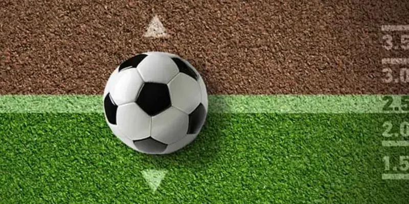 Tổng quan sơ lược về cách đọc kèo bóng đá