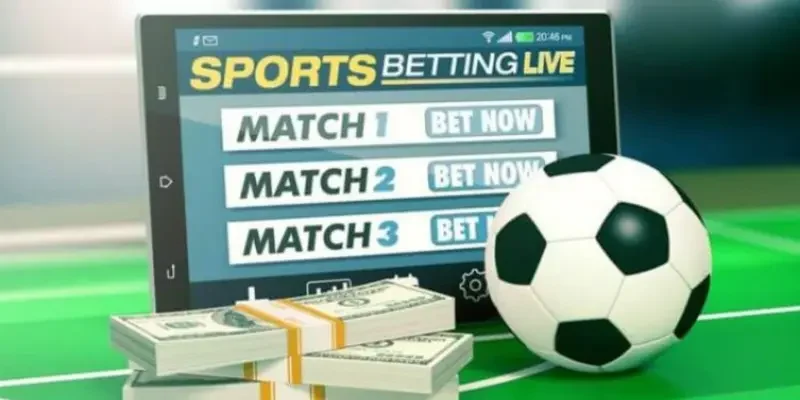 Dutching có phù hợp với người mới?