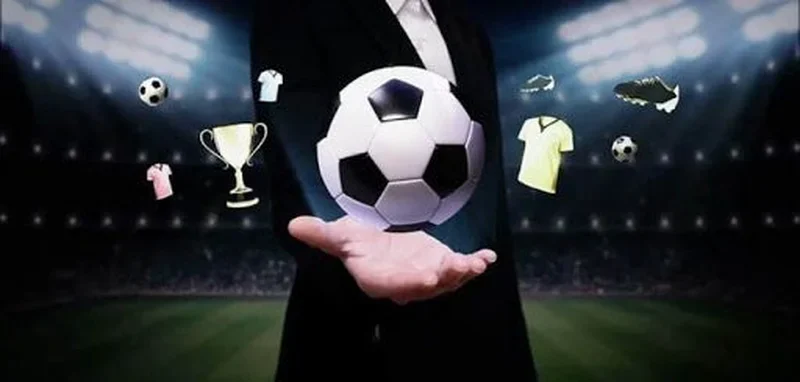 Soi kèo V League bóng đá Hướng dẫn cho người hâm mộ